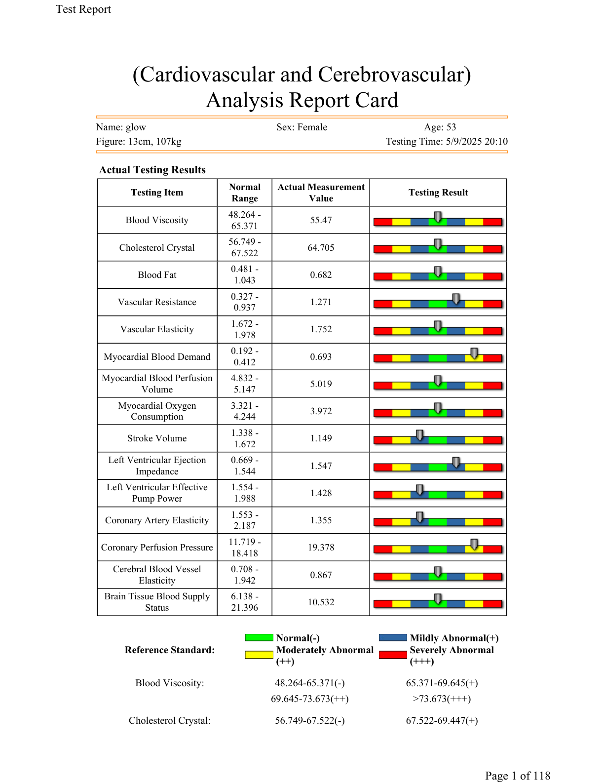 Sample Test Report first page preview